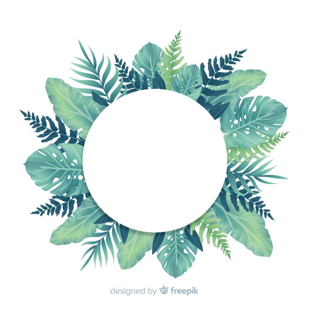 monstera leaves,exotic flower,monstera leaf,blooming,vegetation,tropic,monstera,exotic,bloom,trunk,paradise,tropical flower,circular,beautiful,blossom,palm,environment,natural,palm tree,plant,tropical,leaves,spring,nature,green,leaf,summer,circle,tree,floral,frame,flower,background