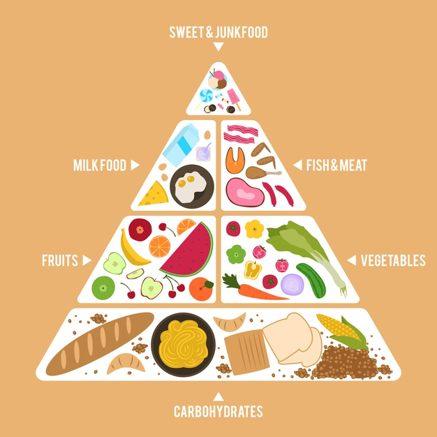 beneficial,food pyramid,categories,meals,concept,lifestyle,pyramid,healthcare,nutrition,diet,healthy,health,template,food