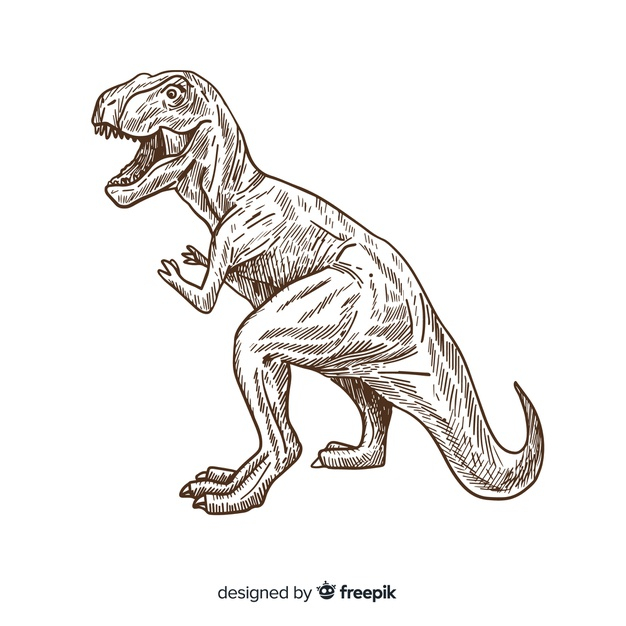 Tyrannosaurus rex Dinosaur Sketch Vector for Free Download