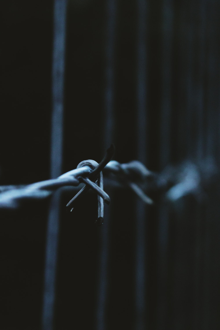 barbed wire,depth of field,fence,metal,sharp