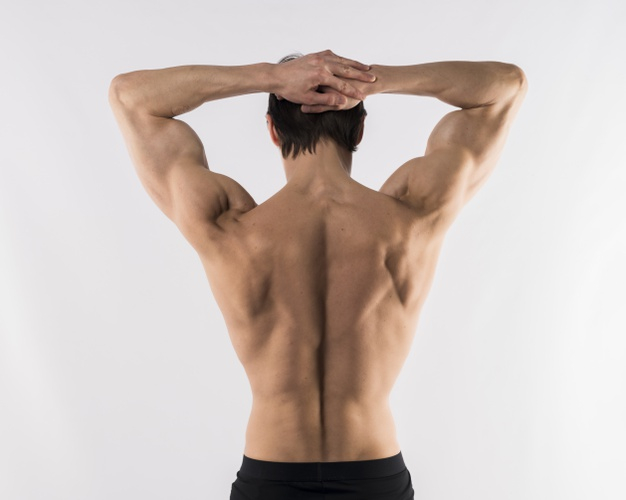 Young male bodybuilder posing with his back to the camera Stock Photo -  Alamy