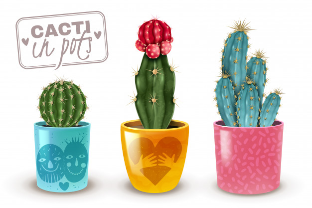 Free Vector, Coloured cactus collection