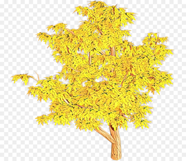  cartoon,yellow,tree,plant,leaf,flower,forsythia,goldenrod,plane,twig,png