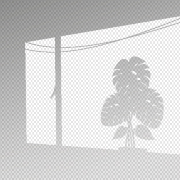 indoors,shade,outside,inside,transparency,outdoors,shadows,concept,overlay,windows,transparent,element,effect,shadow,grey,plants,window,leaves,nature,light,leaf,design,abstract