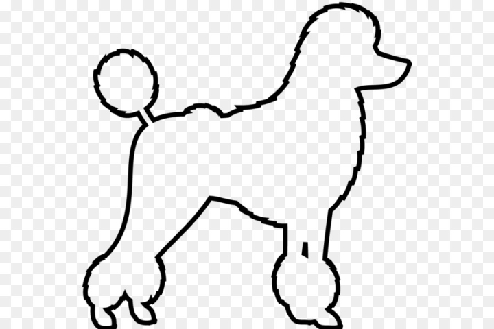 Standart poodle white cartoon dog outline Stock Vector  Adobe Stock