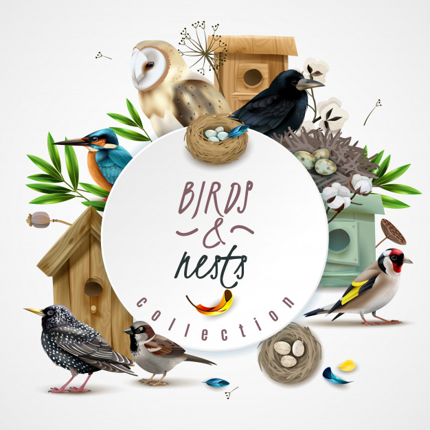 Wild birds nest Vectors & Illustrations for Free Download