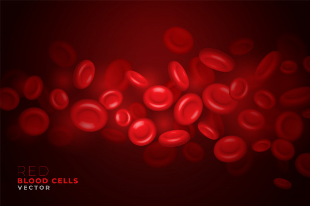 rbc,hematology,erythrocyte,microscopic,artery,cure,infection,genetic,cells,biotechnology,scientific,micro,pharmaceutical,bio,clinic,flow,healthcare,care,life,laboratory,chemistry,pharmacy,blood,human,hospital,3d,science,health,doctor,medical,abstract,banner,background