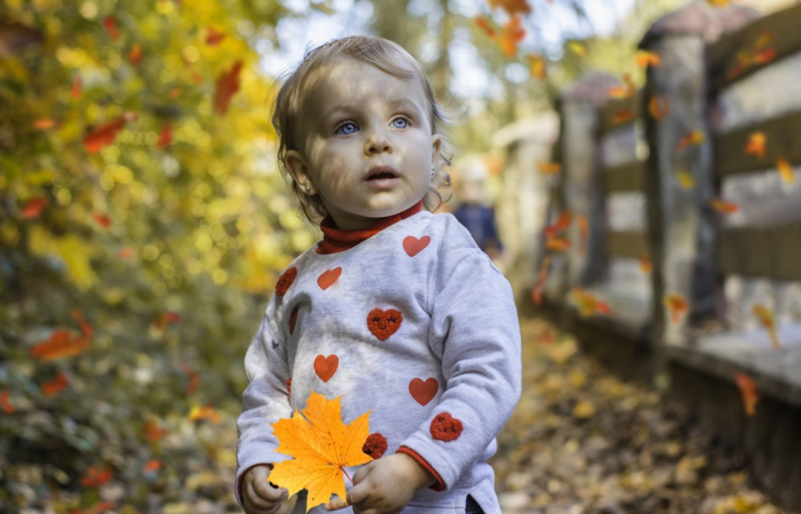 adorable,baby,beautiful eyes,blue eyes,blur,bright eyes,child,childhood,cute,depth of field,face,facial expression,holding,innocence,leaf,maple leaf,shallow focus,standing,toddler,young