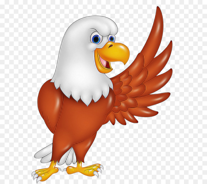 bird,bald eagle,eagle,beak,accipitridae,bird of prey, cartoon,animal figure,png