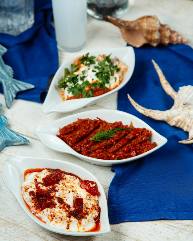 platters,aegean,served,starters,side,culinary,turkish,spicy,bean,dishes,dish,culture,dinner,white,table,food