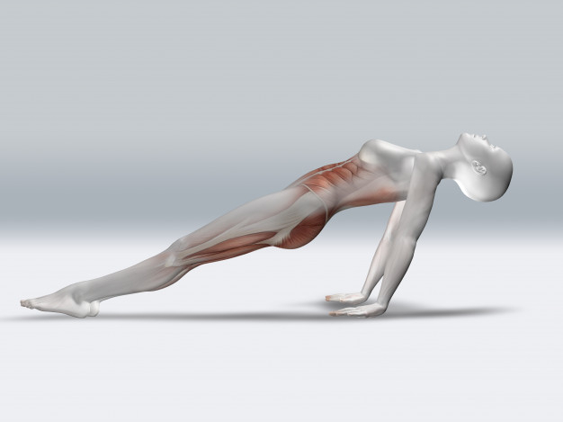 Pretty Woman in Yoga Pose - Reverse Plank Position. Stock Image - Image of  asana, pose: 33579543