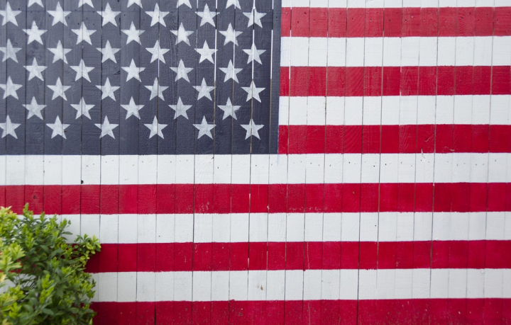 american flag,close-up,daylight,fence,flag,painted fence,painting,patriotism,plant,stars and stripes,striped,symbol,united states,united states flag,us flag,usa flag