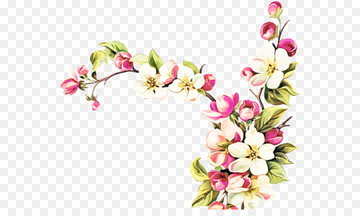 flower,pink,blossom,plant,branch,cut flowers,spring ,petal,cherry blossom,png