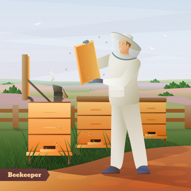 beekeeper,apiculture,agrarian,protective,outfit,composition,ranch,beehive,smiling,hive,gardener,rural,countryside,male,farming,special,activity,production,land,honeycomb,outdoor,fence,wooden,village,farmer,agriculture,hat,honey,flat,gradient,person,bee,work,grass,wallpaper,layout,animal,bird,nature,man,green,hand,people,business