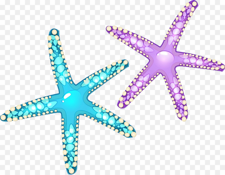 Free: Starfish, Cartoon, Ochre Sea Star, Echinoderm PNG 