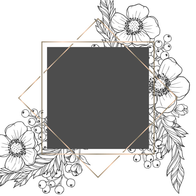 Wild Rose Flowers and Berries Frame, Line Art Drawing. Floral Border  Template with Dog Rose Boquets. Vector Illustration Stock Vector -  Illustration of berry, herbal: 170195330