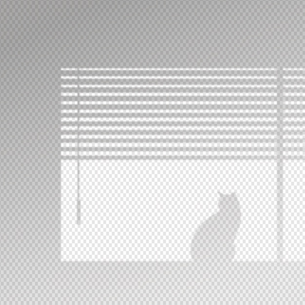 indoors,shade,outside,inside,transparency,outdoors,shadows,concept,overlay,windows,transparent,element,effect,shadow,grey,window,cat,light,design,abstract