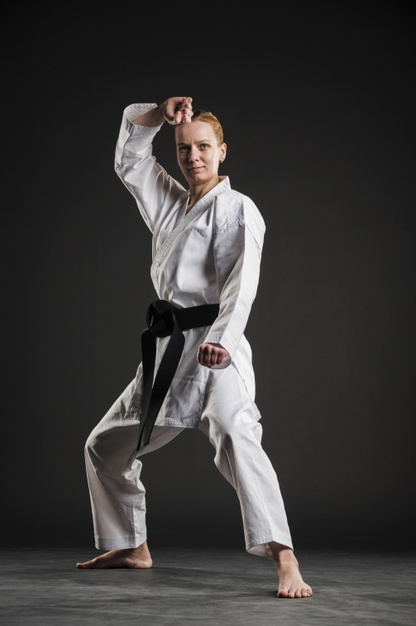 Karate poses for women - Stock Illustration [34815531] - PIXTA