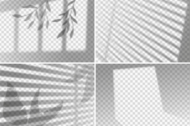 shade,transparency,monochrome,shadows,concept,overlay,theme,transparent,element,effect,grey,leaves,light,design,flowers,abstract