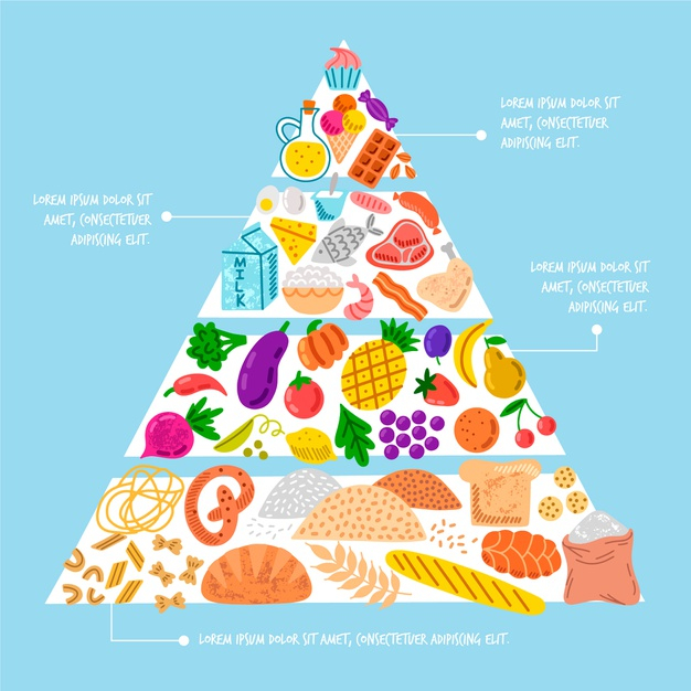 Free: Food pyramid with essentials Free Vector - nohat.cc