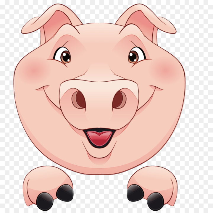 watercolor,paint,wet ink,pig,domestic pig,porky pig, cartoon,pigs ear,animated cartoon,film,stock photography,pig racing,nose,face,pink,head,snout,suidae,cheek,livestock,mouth,smile,art,png