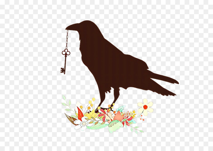  cartoon,bird,beak,crow,perching bird,raven,crowlike bird,songbird,png