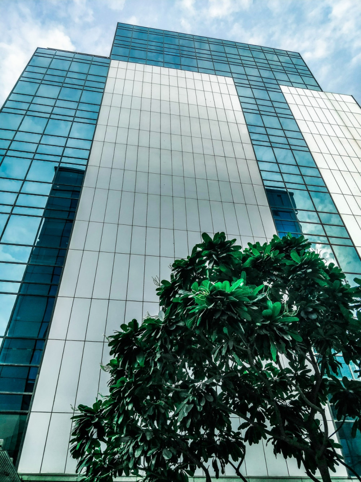 architectural design,architecture,building,elevated,finance,glass items,low angle shot,modern,offices,reflection,sky,skyscraper,tree,urban,windows
