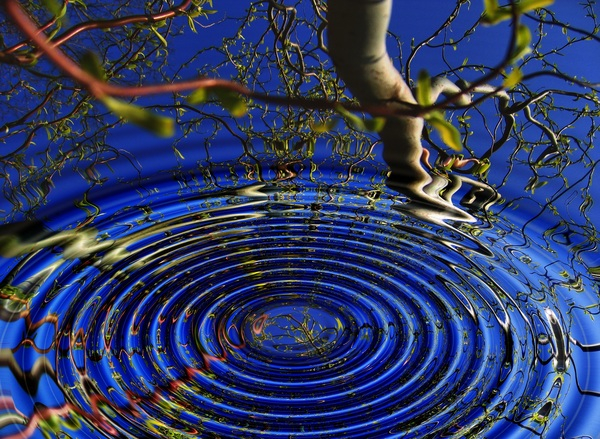 abstract,art,awareness,branches,bright,center,circle,design,light,light reflections,low angle shot,meditation,mirroring,motion,outdoors,pattern,reflection,ripple,round,shape,texture,tree,water,Free Stock Photo
