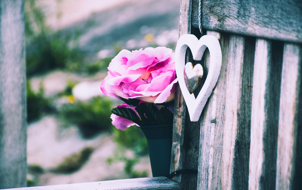 beautiful,bench,blur,bright,color,decoration,flower,garden,love,outdoors,romance,rustic,summer,vertical,wood,wooden,Free Stock Photo