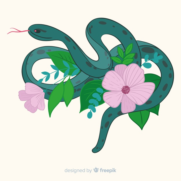 blooming,drag,vegetation,reptile,exotic,bloom,wildlife,petals,tongue,wild,drawn,beautiful,blossom,ground,snake,natural,plant,animals,leaves,spring,hand drawn,animal,nature,leaf,hand,flowers,floral,flower,background