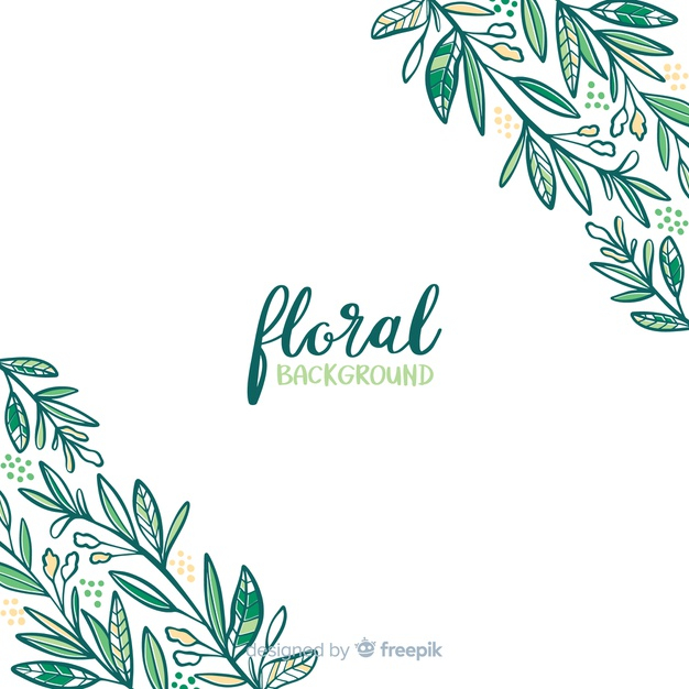 background,flower,floral,flowers,hand,floral background,nature,hand drawn,spring,leaves,plant,flower background,natural,nature background,background flower,spring background,branches,beautiful,spring flowers,drawn