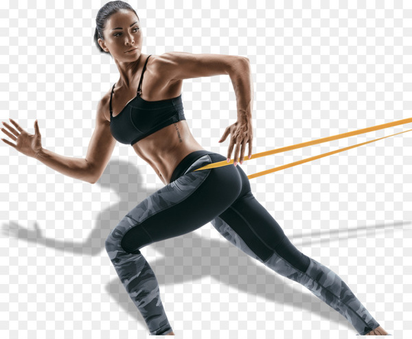 exercise bands,exercise,fitness centre,weight training,pullup,physical fitness,lunge,strength training,exercise balls,squat,aerobic exercise,general fitness training,chinup,hip,performing arts,joint,physical exercise,dancer,knee,png