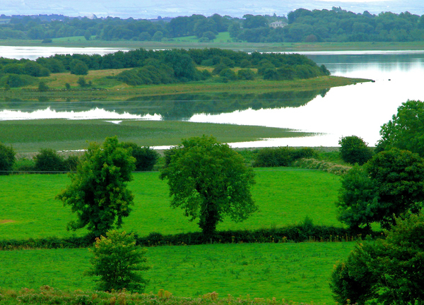 natural,tree,trees,green,lake,lakes,water,lanscape,view,ireland,irish,nature,summer,river