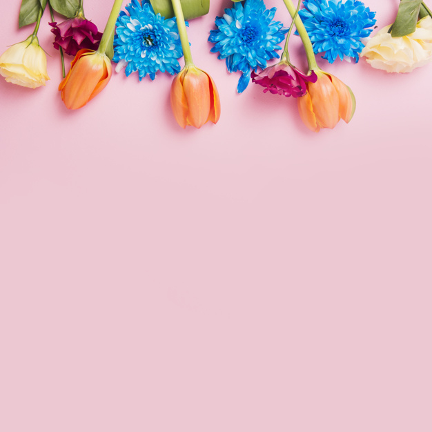 background,flower,abstract background,floral,abstract,green,nature,blue,beauty,pink,rose,wallpaper,spring,celebration,colorful,pink background,plant,decoration,flower background,creative