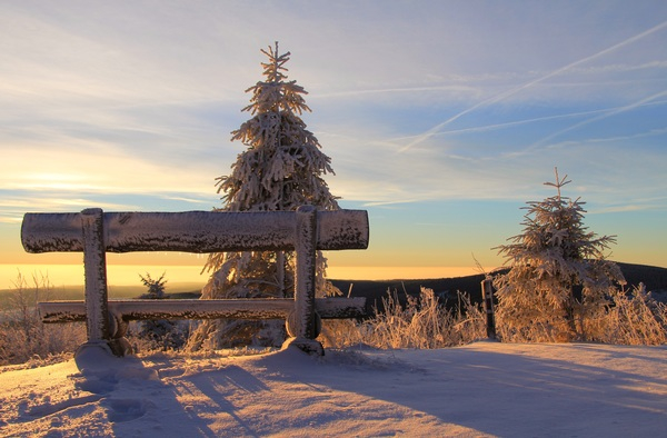 bench,clouds,cold,nature,snow,sunrise,sunset,winter,Free Stock Photo