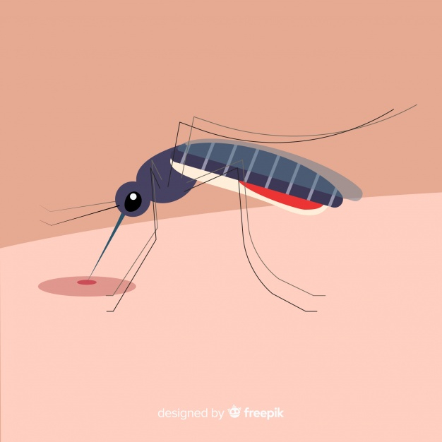 design,man,nature,character,animal,wings,person,flat,flat design,skin,fly,danger,insect,virus,mosquito,control,bug,flying,bite