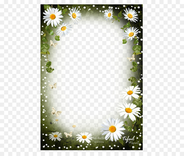 paper,picture frame,sticker,flower,flora,flowering plant,grass,floral design,petal,flower arranging,png