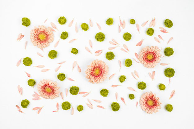 background,banner,pattern,flower,floral,card,flowers,template,background banner,green,pink,beauty,background pattern,layout,wallpaper,banner background,white background,flower pattern,white,backdrop