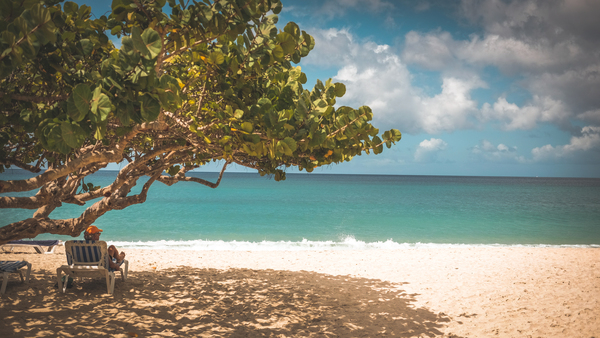 beach,beach chair,carribean,clouds,island,landscape,nature,ocean,outdoors,person,relaxation,sand,sea,seascape,seashore,shade,shore,sky,summer,travel,tree,tropical,vacation,water,Free Stock Photo