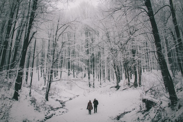 people,couple,travel,outdoor,nature,snow,winter,trees,plant,forest,cold,weather,black and white