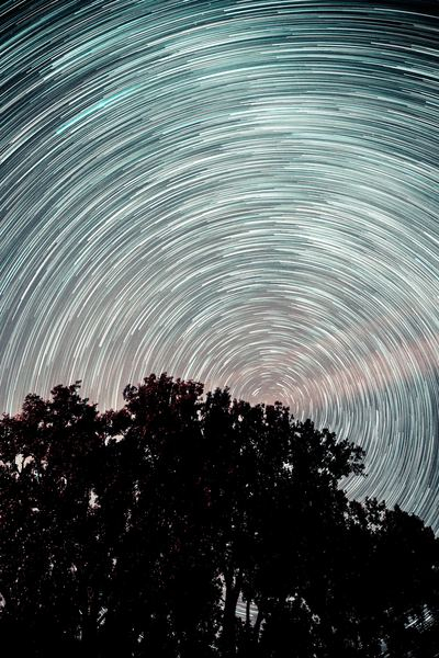 glass,building,window,thread,spiderweb,pattern,space,cloud,star,sky,star,long exposure,night,evening,spiral,tree,silhouette,nature,outdoors,astrophotography,startrail,public domain images