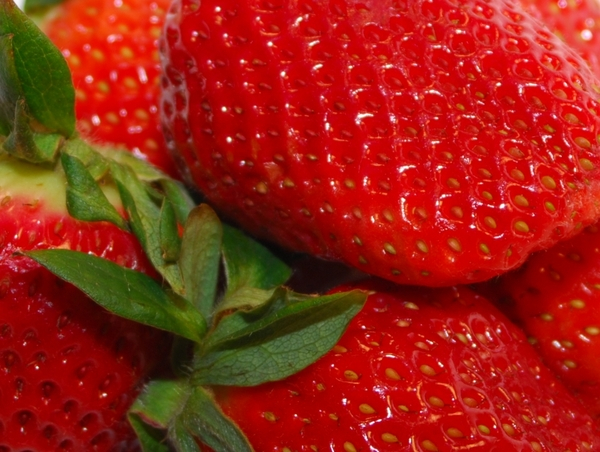 straberry,strawberries,berry,berries,food,fruit,sweet,fresh,summer,seeds,leaves