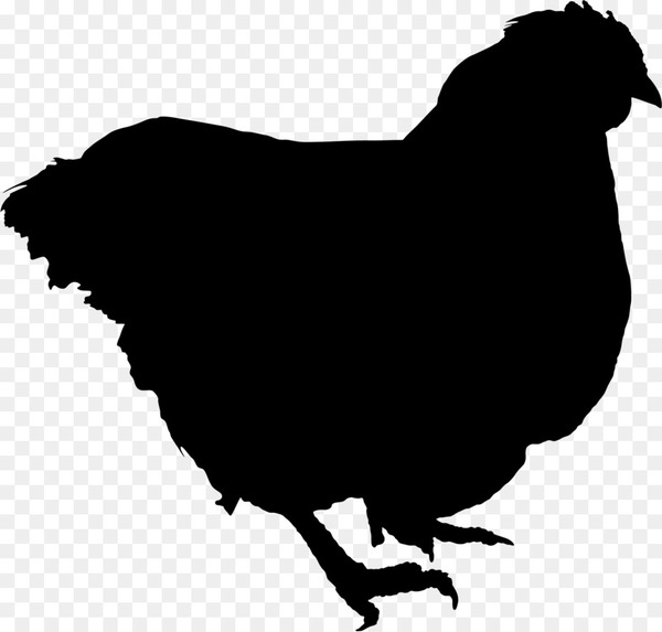 chicken,broiler,chicken as food,poultry,stock photography,chicken fat,rooster,egg,royaltyfree,bird,beak,silhouette,blackandwhite,galliformes,livestock,png