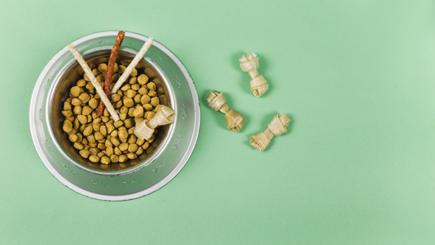 background,food,green,dog,animal,cat,space,pet,healthy,life,lunch,care,nutrition,bowl,fresh,snack,meal,bones,vitamin,object