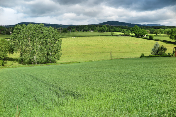 green,rhone,agricultural,agriculture,beaujolais,fields,france,grass,hills,open,rolling,wide