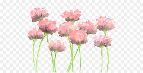 watercolour flowers,watercolor flowers,watercolor painting,painting,pink flowers,poppy,floral design,flower,abstract art,printmaking,art,paint,drawing,pink,cut flowers,flowering plant,plant,petal,pink family,plant stem,annual plant,artificial flower,png