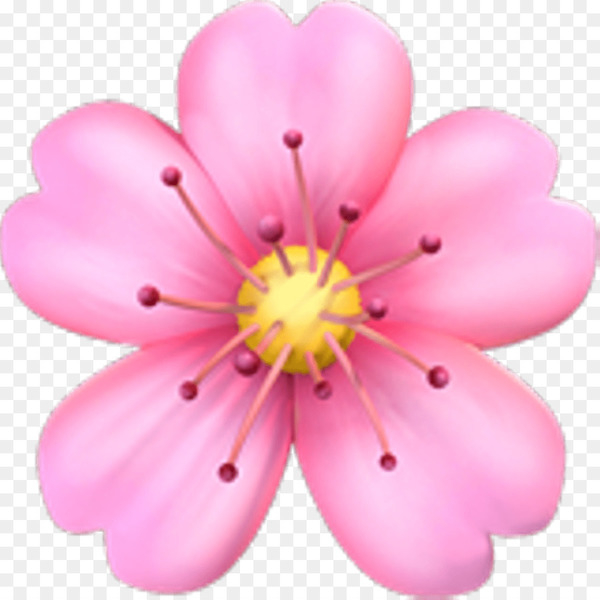emoji,flower,cherry blossom,sticker,pink flowers,pink,emojipedia,floral design,floristry,iphone,blossom,emoticon,cherry,plant,petal,herbaceous plant,magenta,flowering plant,png