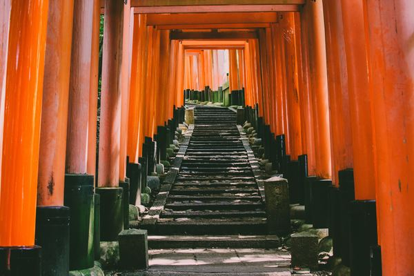stair,tunnel,architecture,japan,street,city,business,man,caucasian,temple,orange,structure,black,path,steps,wooden,stairs,post,green,shadow,light,free stock photos
