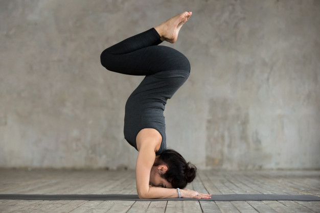 bodyweight,vinyasa,hatha,ashtanga,pincha,mayurasana,feathered,inverted,handstand,variation,asana,doing,pose,gymnast,sporty,practice,posture,position,leg,fit,activity,gymnastics,beauty woman,arm,beautiful,workout,pilates,young,female,muscle,balance,class,peacock,stand,studio,lady,training,exercise,healthy,person,wall,yoga,gym,health,fitness,girl,sport,woman,hand,people