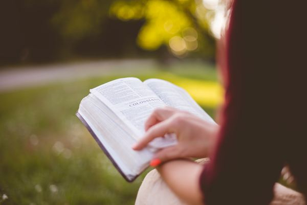 girl,woman,female,woman,hand,church,bible,book,christian,person,book,read,outdoors,park,sat,sitting,learn,study,bible,religion,religious